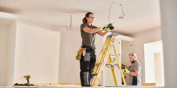 Best Best Electricians Near Me  in Douglas, MI