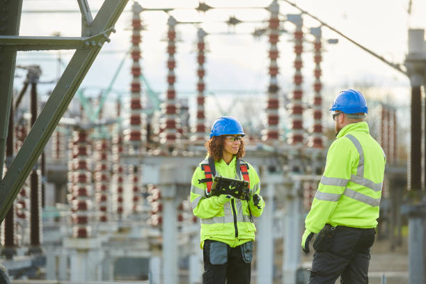 Best Generator Installation Services  in Douglas, MI