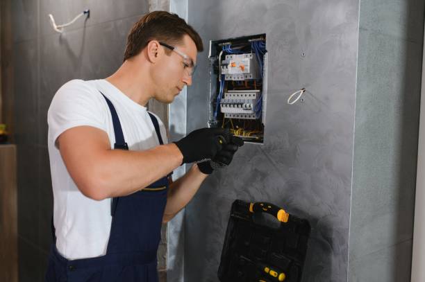 Best 24-Hour Electrician  in Douglas, MI