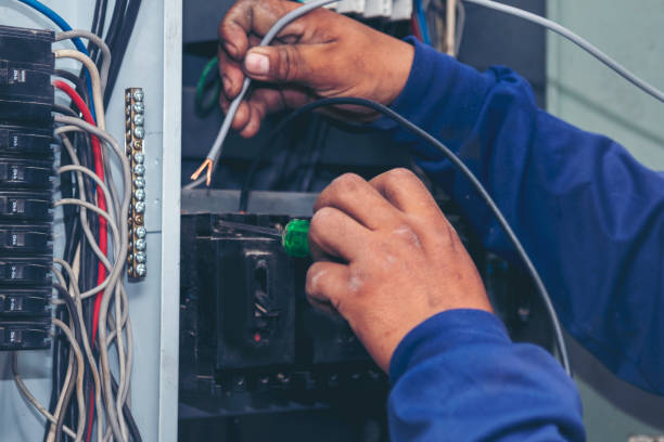 Best Emergency Electrical Repair  in Douglas, MI