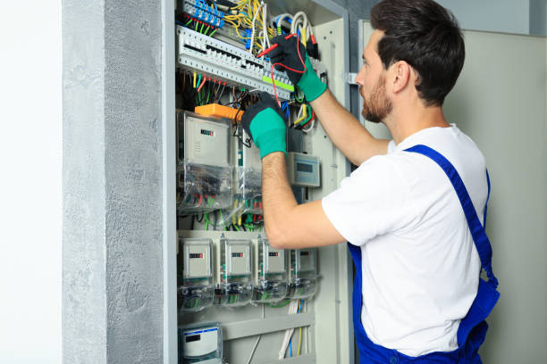 Best Home Electrical Repair  in Douglas, MI