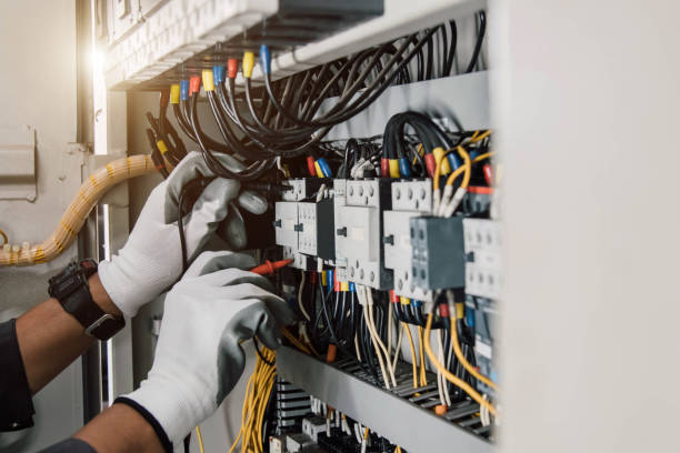 Best Electric Panel Repair  in Douglas, MI
